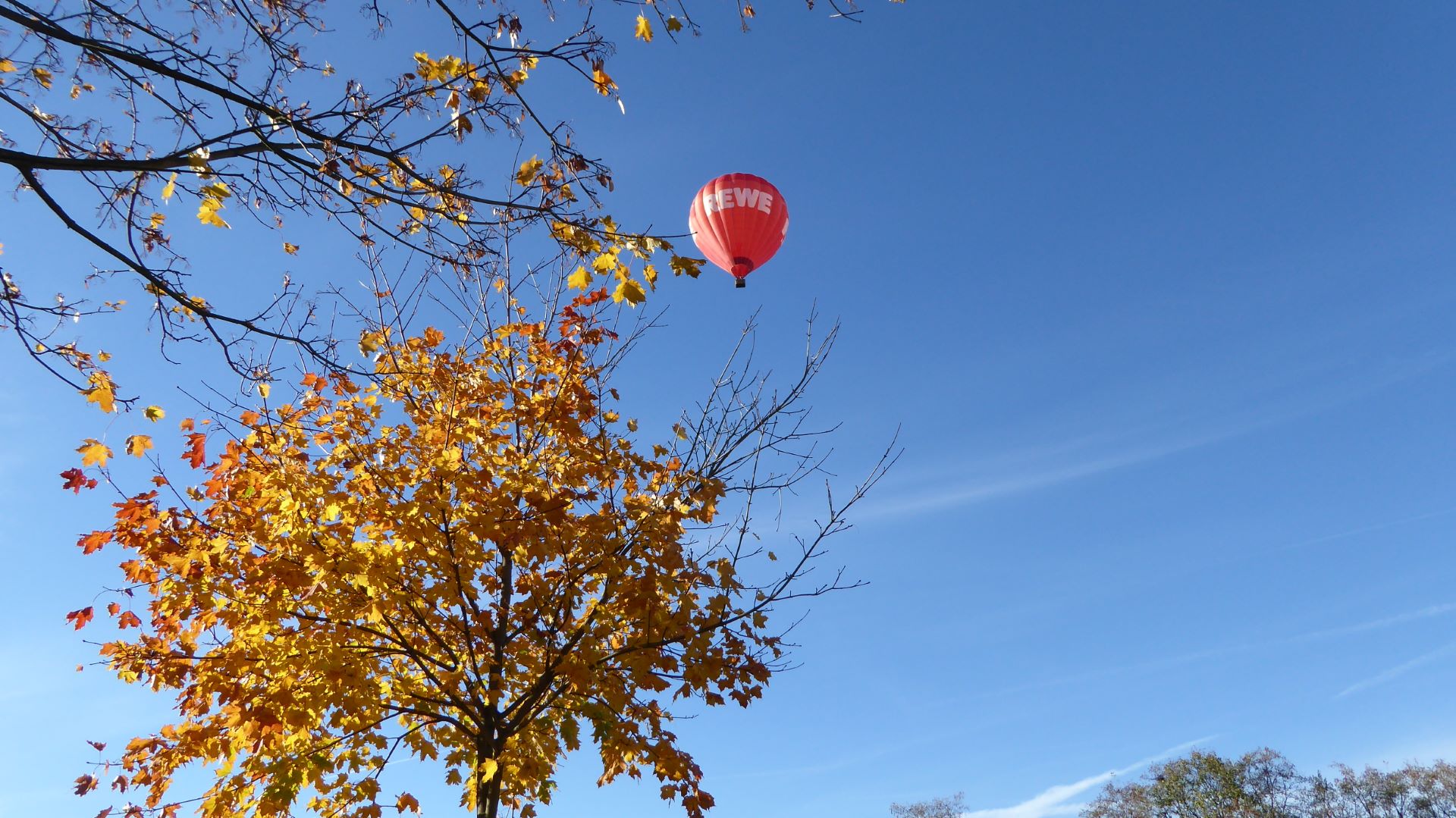 Rewe Ballon Lorenz Ballonfahrt Sachsen Ballonscheune Ballonabenteuer Dresden Chemnitz Bautzen Sachsen, Ballonfahrt Dresden,Ballonfahrt Bautzen,Ballonfahrt Gröditz,Gröditz,Großenhain,Elsterwerda